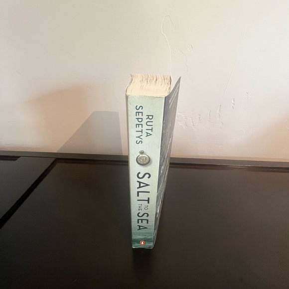 Salt and the Sea, book - Picture 11 of 11